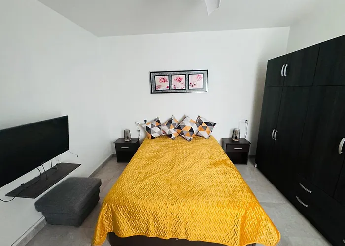 Apartment Spacious 100m From The And Promenade *